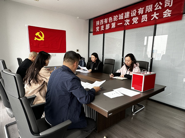 凝心聚力啟新程，有色駝城黨支部正式成立！